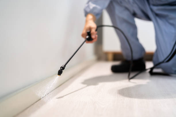 Licensed Cockroach Control service in Mission, TX - Nex Pest Control