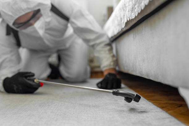 Professional Cockroach Control technician working in Mission, TX