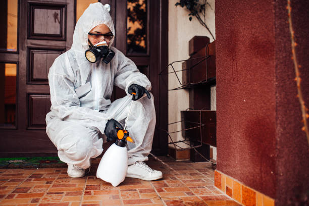 Reliable Cockroach Control contractor in Mission, TX by Nex Pest Control